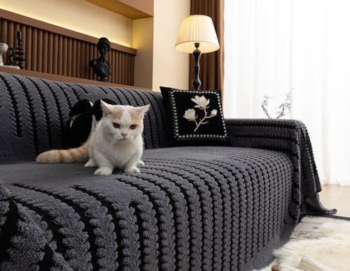 housse protection domicile